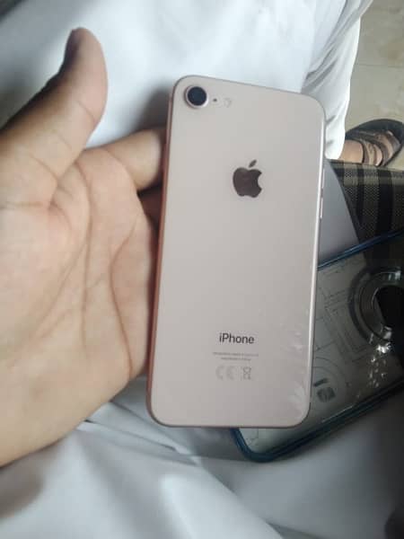 iphone 8 for sale lush condition like brand new 256 gb 03557097625 2