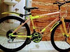 bicycle / brand new full size, 26 inch duble gears