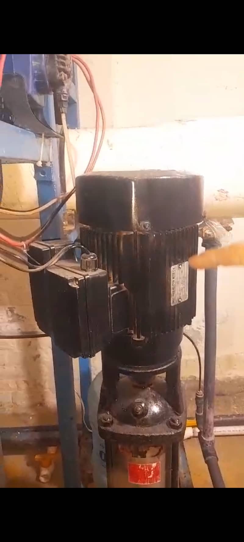 10000 Gallons plant for sale . . 13