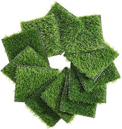 American grass carpete/ plants /Garden Decoration/Turfing