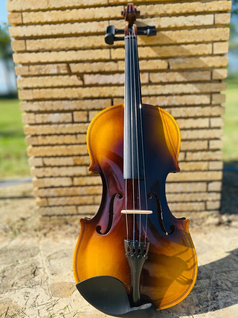 Solid Wood Matte Violin Beautiful Appearance Violin 12