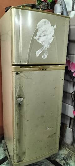 Dawlance Fridge Condition 10/8 Cooling Very Good