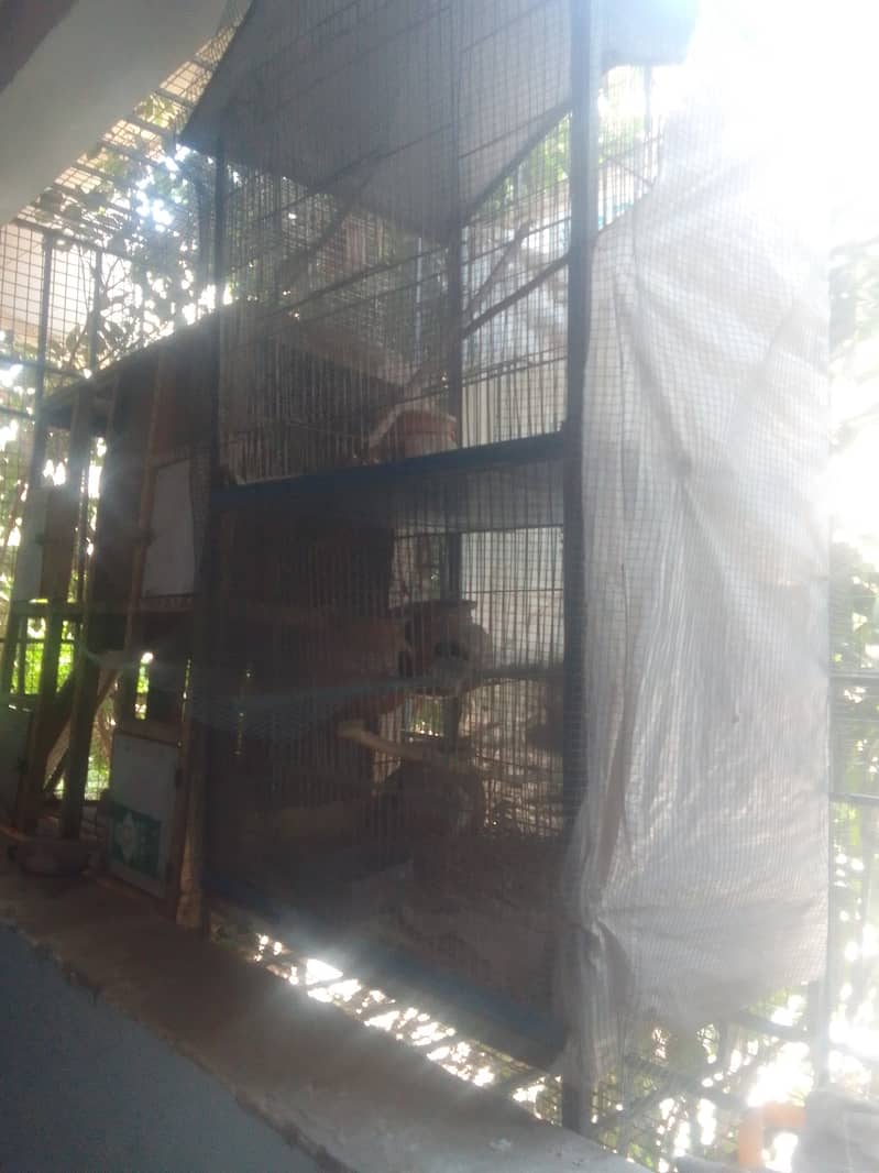 Whole setup for sale,some finches pairs,2 portion cage ,4 portion cage 4