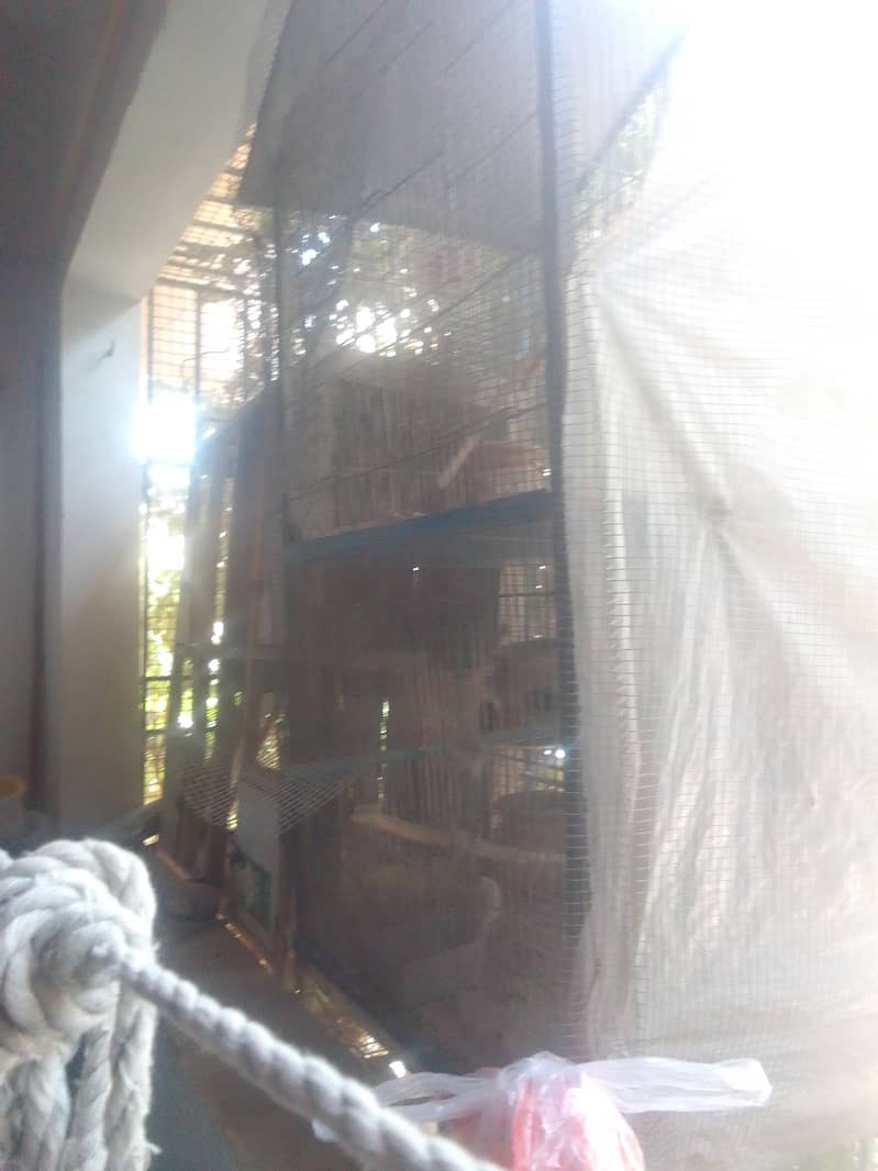 Whole setup for sale,some finches pairs,2 portion cage ,4 portion cage 6