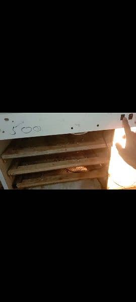 semi Auto Incubator For All Types of Eggs Home Made 2 Time Used 2