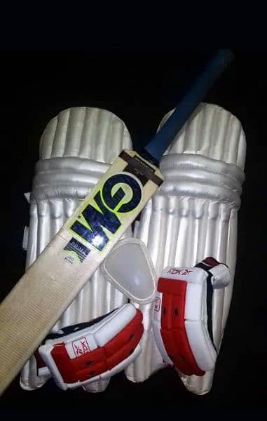 hard ball bat including gloves pads and guard 17