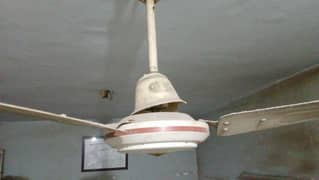five ceiling fans