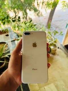 iPhone 8 Plus Pta approved