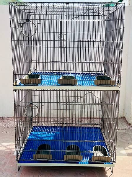 Brand new Parrots Cages and coctails parrots for sale 1