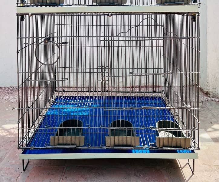 Brand new Parrots Cages and coctails parrots for sale 0