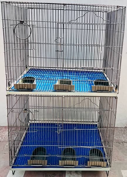 Brand new Parrots Cages and coctails parrots for sale 2