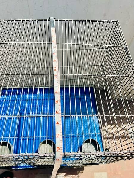 Brand new Parrots Cages and coctails parrots for sale 7