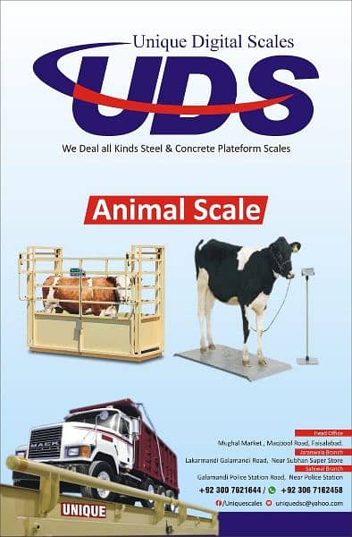 animal scale,truck scale,load  ell,kanta,software 4