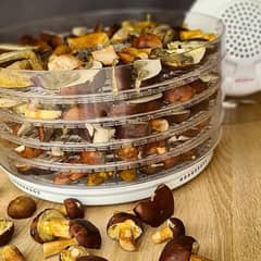 Food Dehydrator