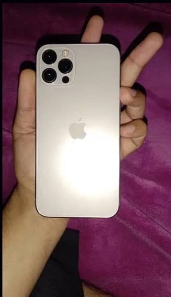 iphone 12 pro 256 gb gold color 0