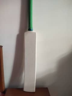 Bat for cricket player's