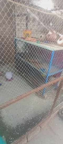 6 portion cage for sale 0