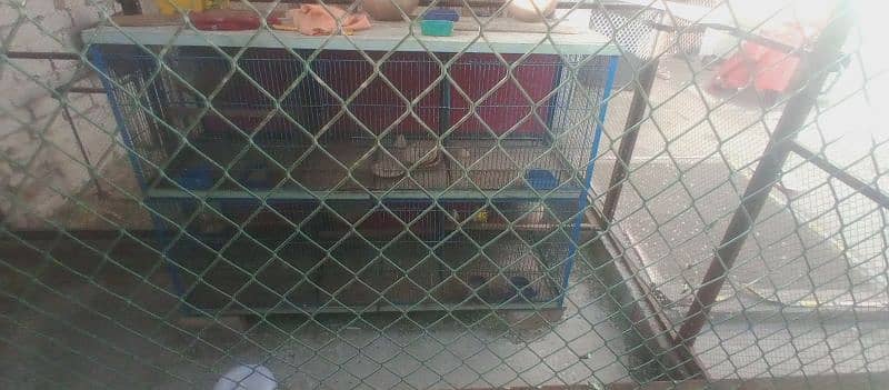 6 portion cage for sale 2