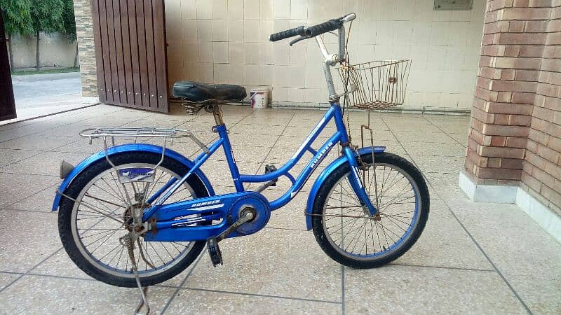 Girlz Bike. 2