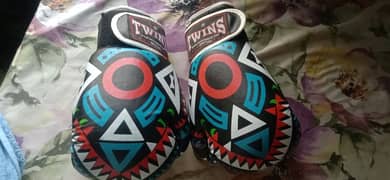 twins professional boxing gloves 12oz