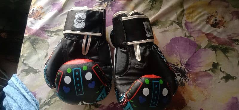 twins professional boxing gloves 12oz 2