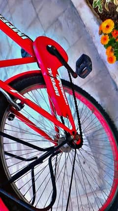 bicycle for sale brand new condition 0