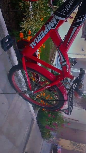 bicycle for sale brand new condition 2