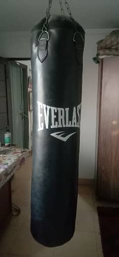 Professional Everlast punching bag for boxing