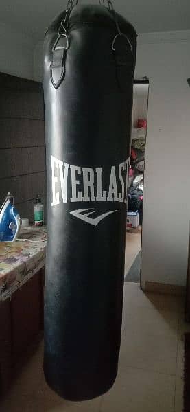 Professional Everlast punching bag for boxing 1