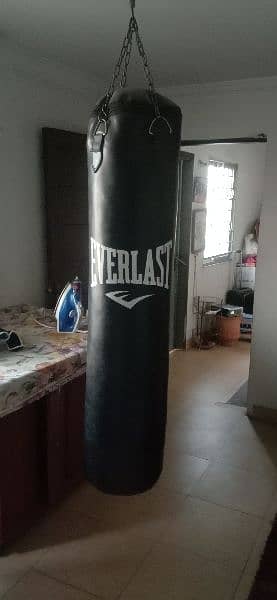 Professional Everlast punching bag for boxing 3