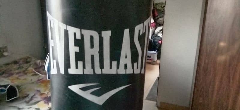 Professional Everlast punching bag for boxing 4