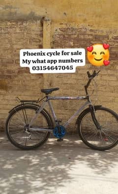 phoenix cycle