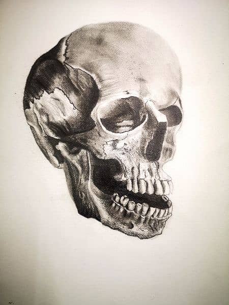 Skull & Snickers Sketch 0