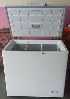 pel refrigerator brend new 1 months use 5 year warranty  03305499606