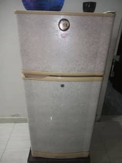 Pel fridge for sale