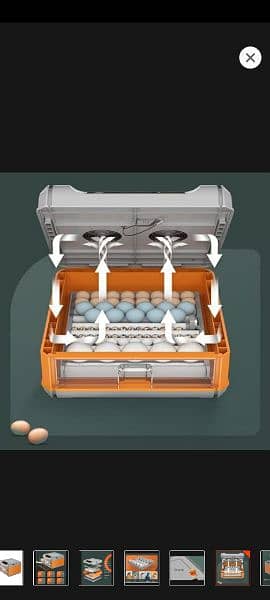 AA-130 eggs capacity Incubator 0