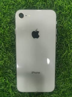 iphone 8 pta