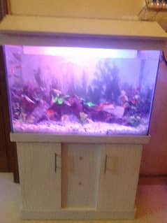 fish aquarium with 24 different fishes brand new 3 by 1.5 size