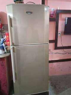 Hair fridge refrigerator in good condition