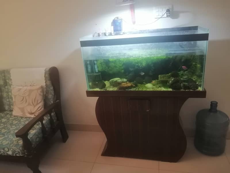 3 feet Aquarium with wooden base for urgent  sale 7