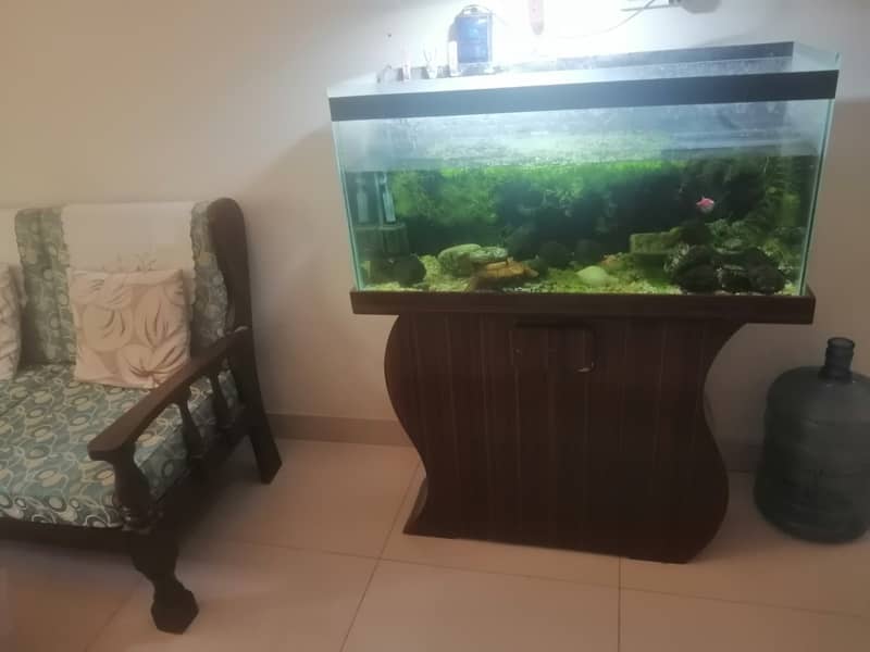 3 feet Aquarium with wooden base for urgent  sale 8