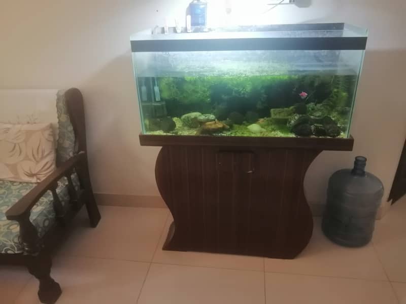 3 feet Aquarium with wooden base for urgent  sale 9