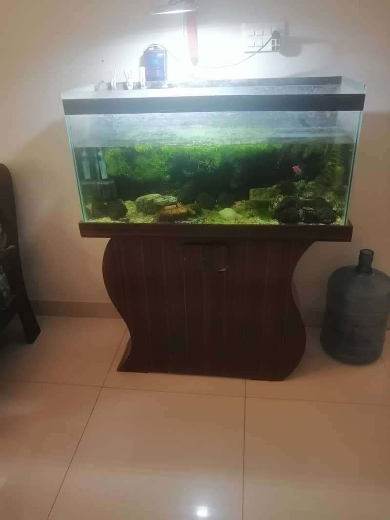3 feet Aquarium with wooden base for urgent  sale 10