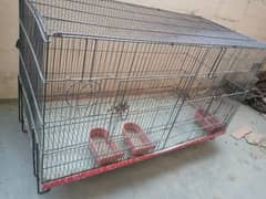 hen cage for sale ( pinjra )