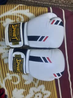 Leather Boxing gloves (16oz)