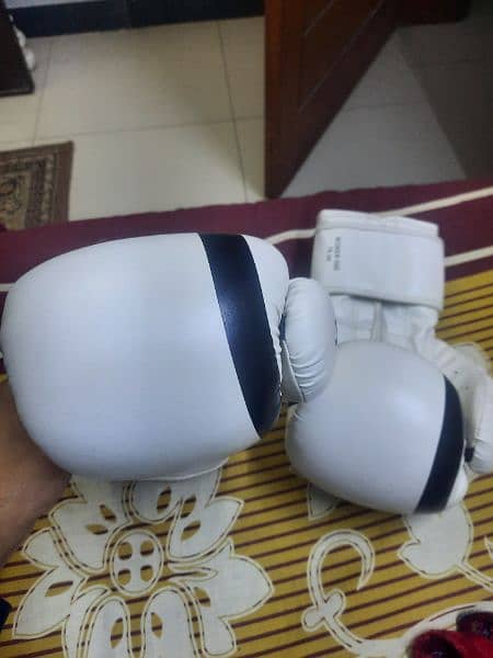 Leather Boxing gloves (16oz) 1