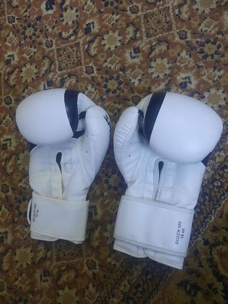 Leather Boxing gloves (16oz) 2