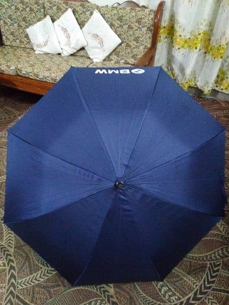 Umbrella 3