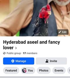 hyderabad aseel and fancy lover