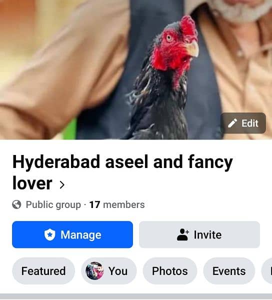 hyderabad aseel and fancy lover 0